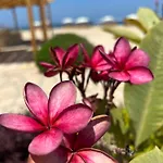 Turtles Beach Resort
